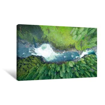 Image of River Flowing Through Forest Canvas Print