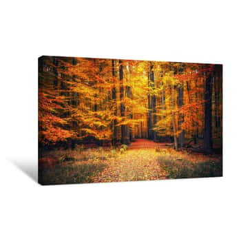 Image of Autumn Park Canvas Print