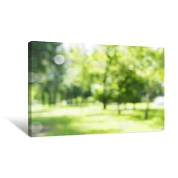 Image of Blur Natural And Light Background In The Park Canvas Print