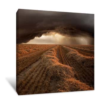 Image of The Endless Hay Field Canvas Print