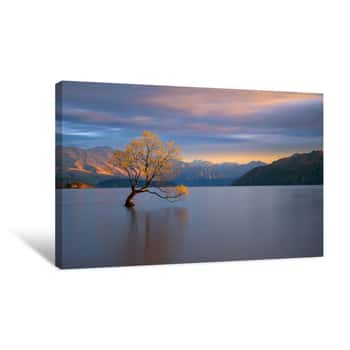 Image of Morning Glow Canvas Print