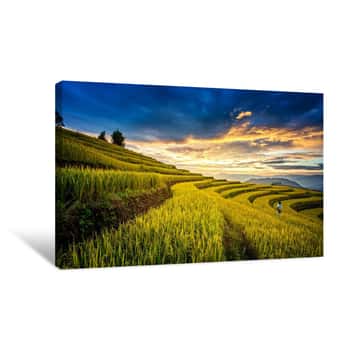 Image of Terraced Rice Fields, Thailand Canvas Print