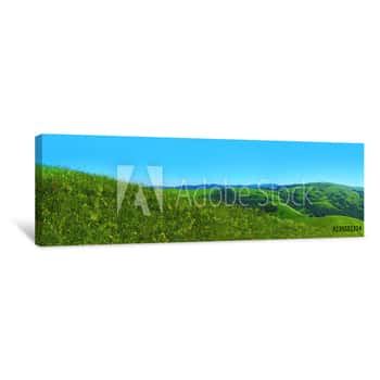 Image of Panorama Summer Flower Meadow In The Mountains On A Sunny Day Canvas Print
