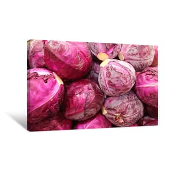 Image of Red Cabbages Canvas Print