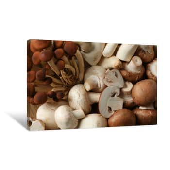 Image of Different Mushrooms Textured Background, Close Up Canvas Print