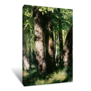 Image of In The Forest of Fontainebleau Canvas Print