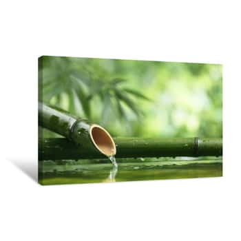 Image of Natural  Bamboo Fountain    Canvas Print