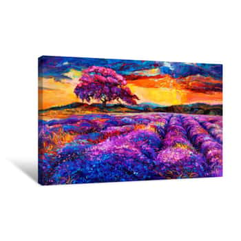 Image of Lavender Fields    Canvas Print