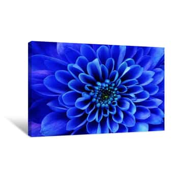 Image of Macro Of Blue Flower Aster Canvas Print