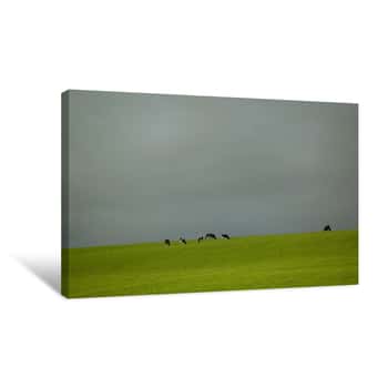 Image of Cows on Green Hillside Canvas Print