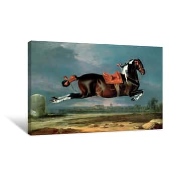Image of The Piebald Horse Cehero Rearing Canvas Print