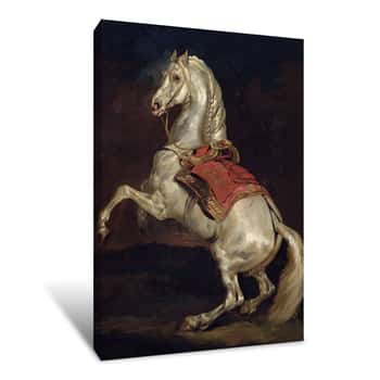 Image of Napoleon\'s Stallion, Tamerlan Canvas Print
