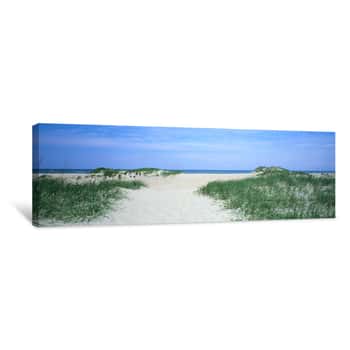 Image of Path to the Water Canvas Print