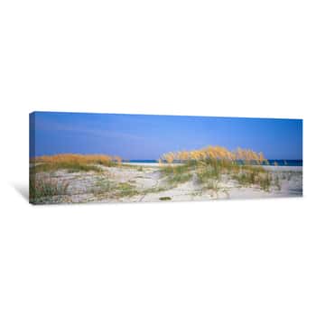 Image of Waving Sea Oats on a Beautiful Day Canvas Print