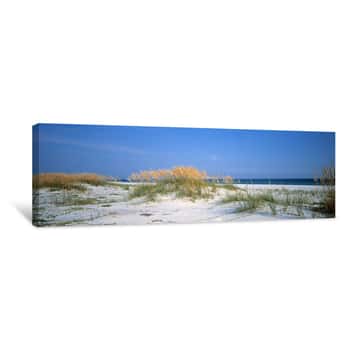 Image of Sea Oats and Blue Water Canvas Print