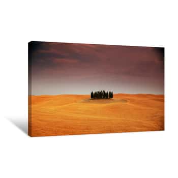 Image of Forest in the Field Canvas Print