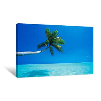 Image of Palm Tree Shadow Over Water Canvas Print