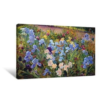 Image of The Iris Bed Canvas Print