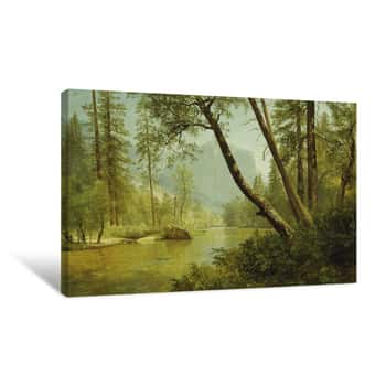 Image of Sunlit Forest, Merced River, Yosemite Valley Canvas Print