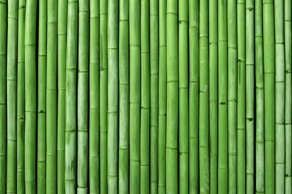 Bamboo Fence Background    Wall Mural