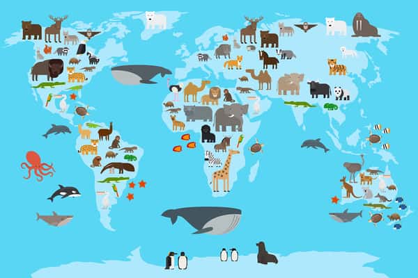 Animals World Map Wall Mural