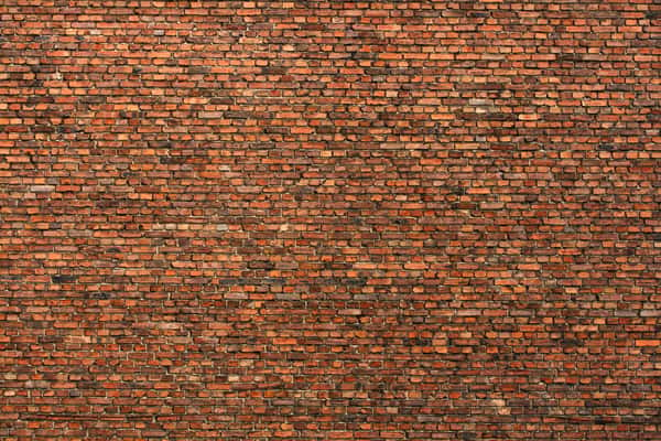 Brick Wall Wall Mural