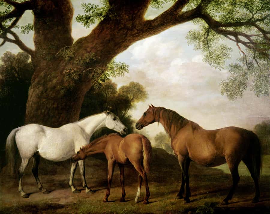 group of horses standing underneath a tree Wall Mural