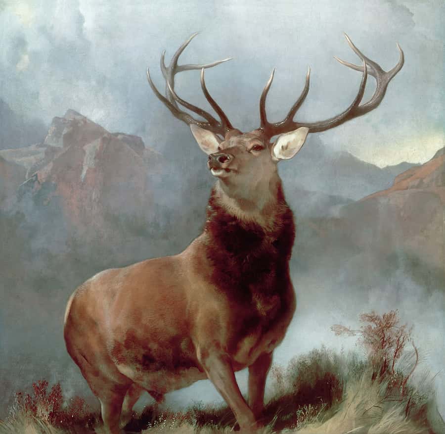 Monarch of the Glen Painting Wall Mural