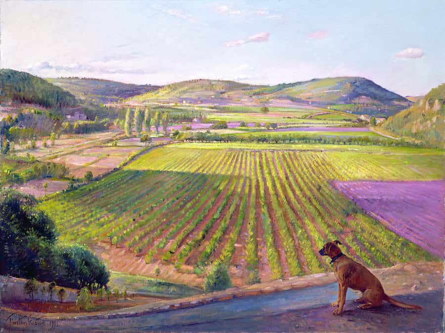 Watching from the Walls Dog looking onto a vineyard Painting Wall Mural