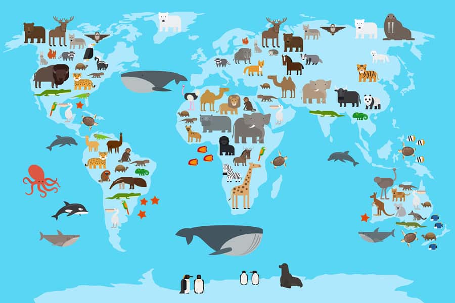 Animals World Map Wall Mural