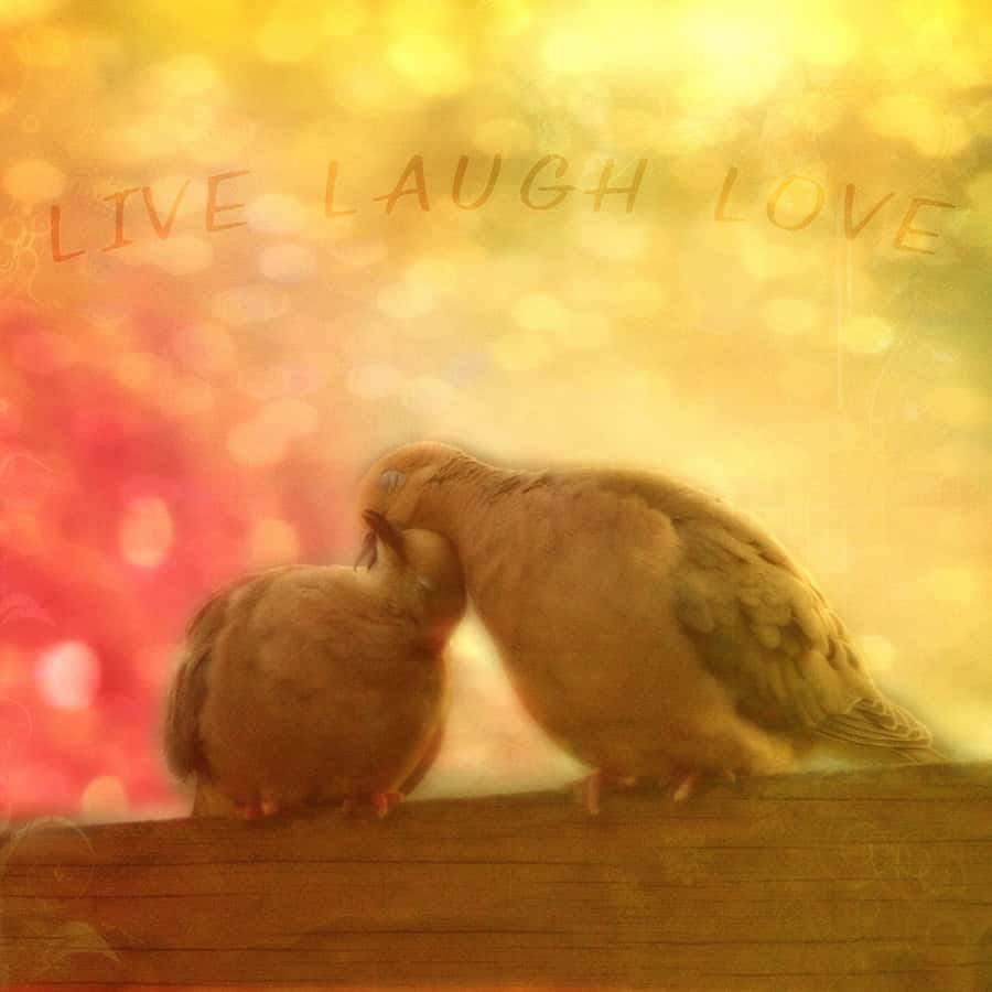 Loving doves on Yellow Background Wall Mural