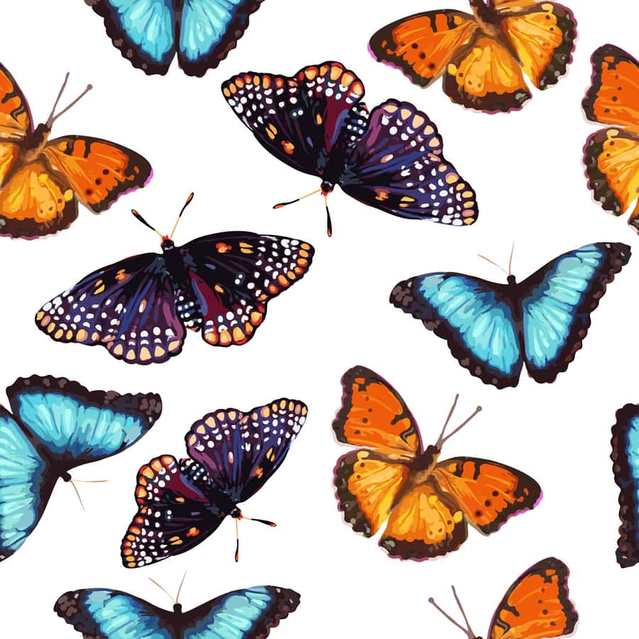 Colorful Painted Butterflies Pattern Wallpaper Mural