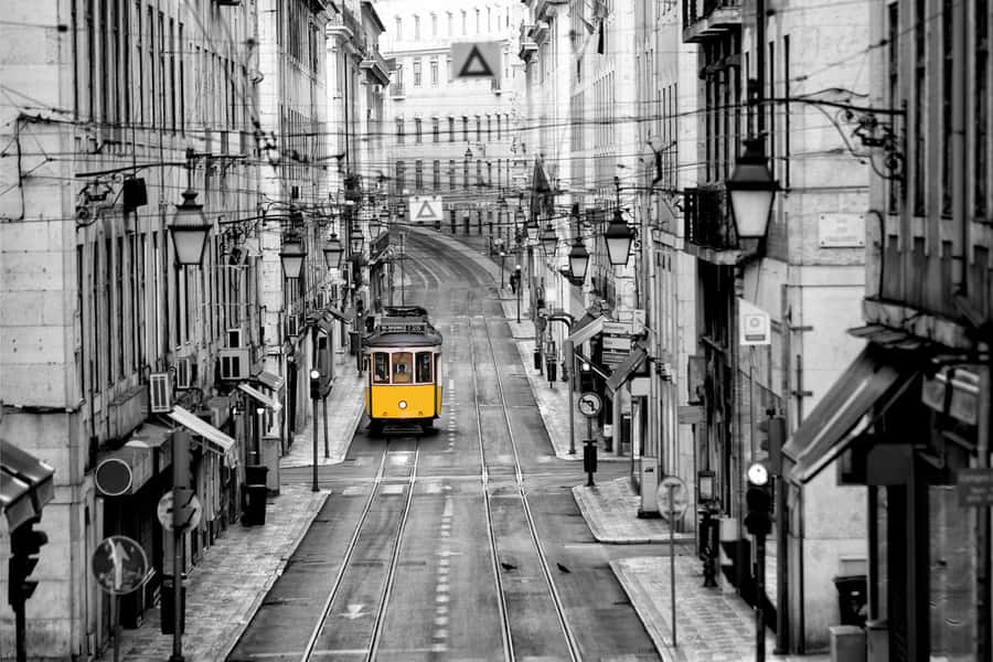 Black and white contrast of Lisbon's Yellow Tram Wall Mural