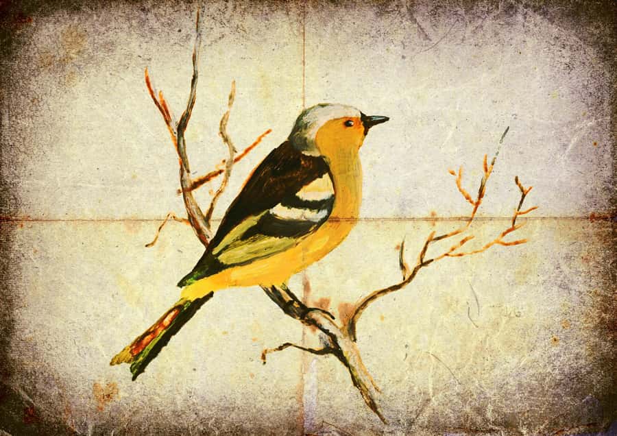 The Finch Wall Mural
